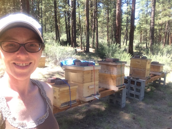  This is the apiary, all set up! From left to right, the hives are named: Cleopatra, Sickle, Lil Kim the Queen Bee, Beyonce, and Queen Lateefah.  