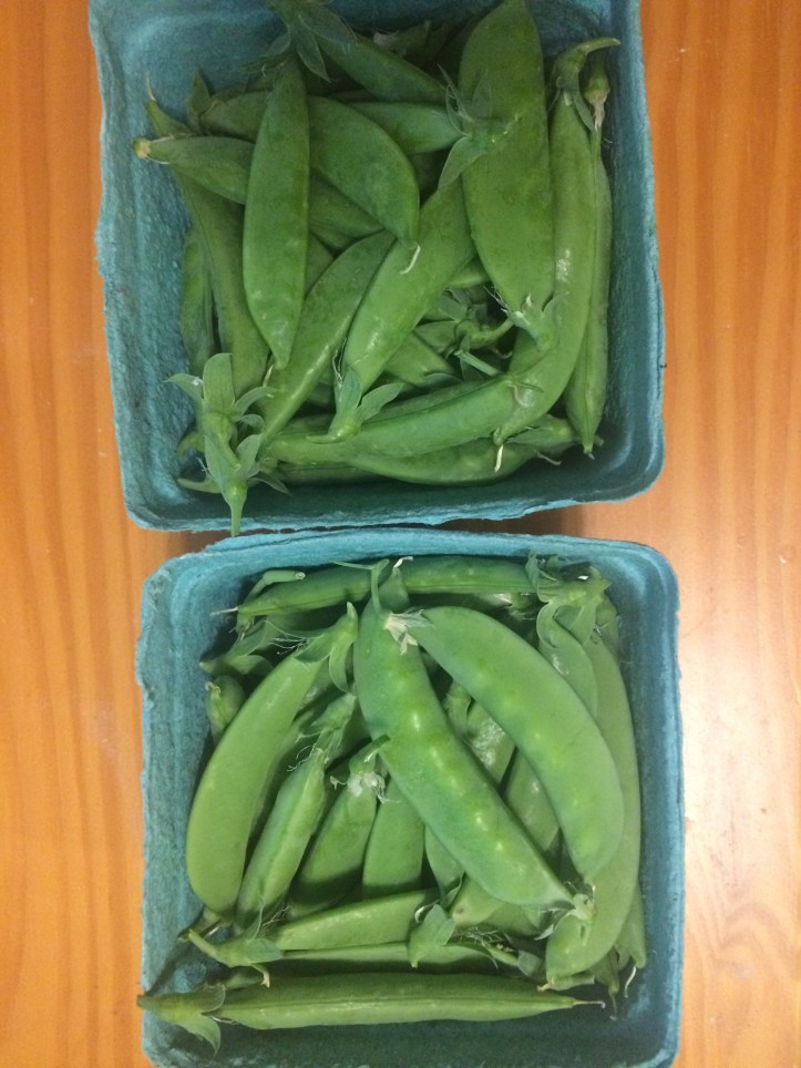  These compostable containers cost a lot more than the plastic version, but sustainable packaging is very important to us. Yep, we can reuse these too if customers return them! 