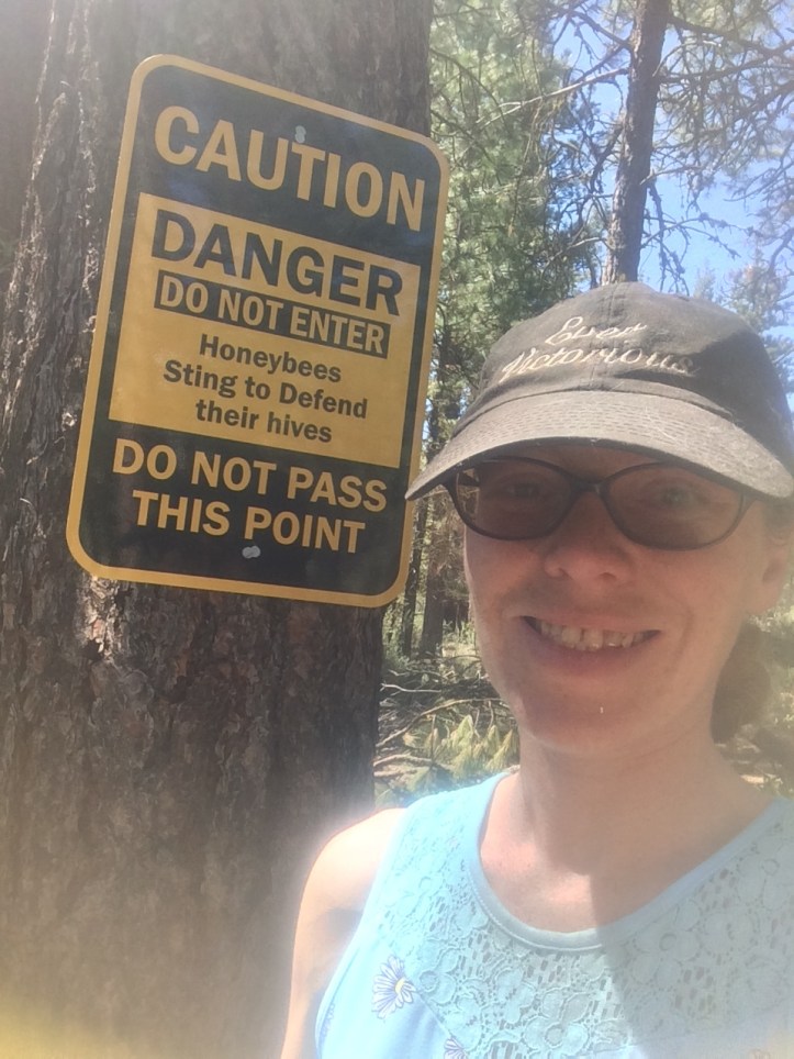  We set up stern warning signs all around the apiary to make sure nobody wanders into the bee yard - and also to deter anyone who might be interested on coming onto the property.  